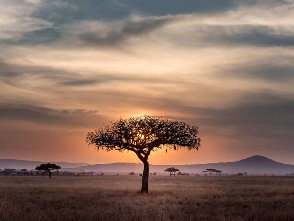 GAMCA Medical Appointment in Tanzania